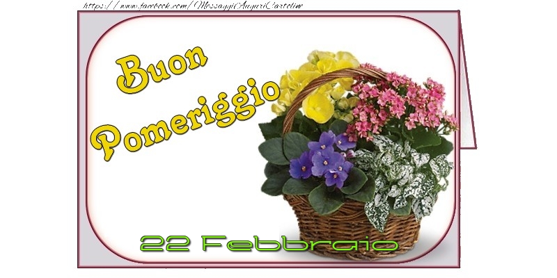 22 Febbraio - Buon Pomeriggio