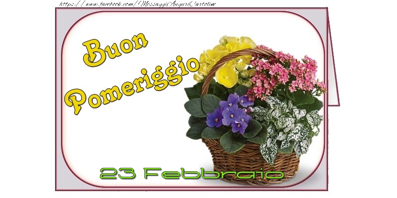 Cartoline di 23 Febbraio - 23 Febbraio - Buon Pomeriggio