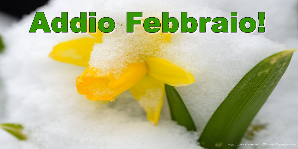 Cartoline di 28 Febbraio - Addio Febbraio!