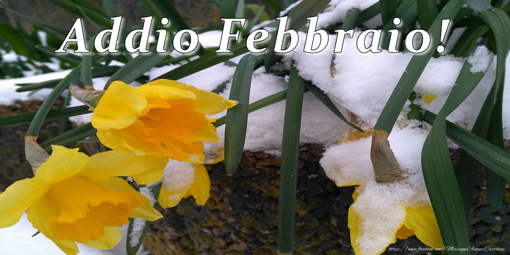 Cartoline di 28 Febbraio - Addio Febbraio!