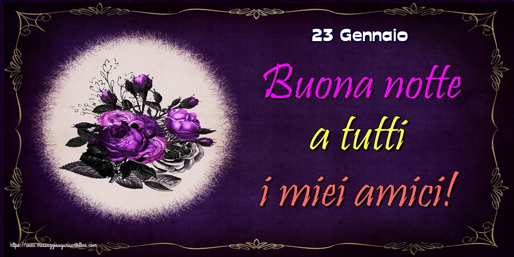 Cartoline di 23 Gennaio - 23 Gennaio - Buona notte a tutti i miei amici!