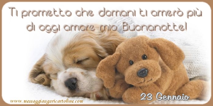 23 Gennaio - Ti prometto che domani ti amerò più  di oggi amore mio, Buonanotte!