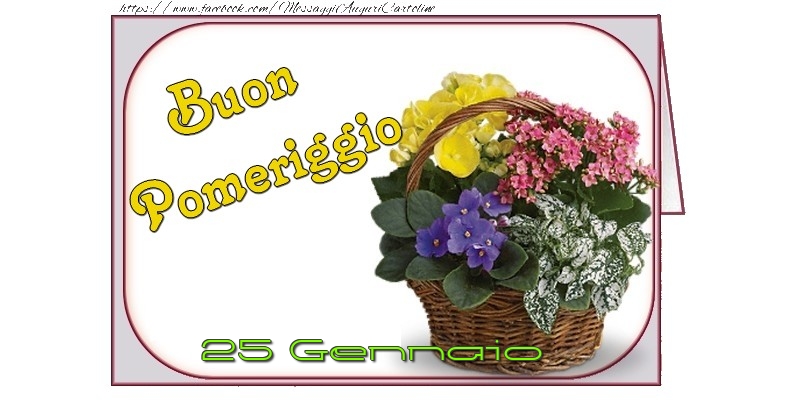 Cartoline di 25 Gennaio - 25 Gennaio - Buon Pomeriggio