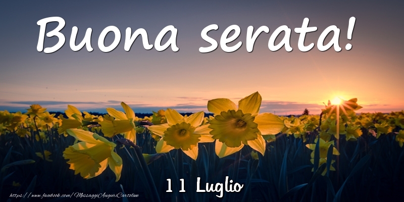 Cartoline di 11 Luglio - 11 Luglio - Buona serata!