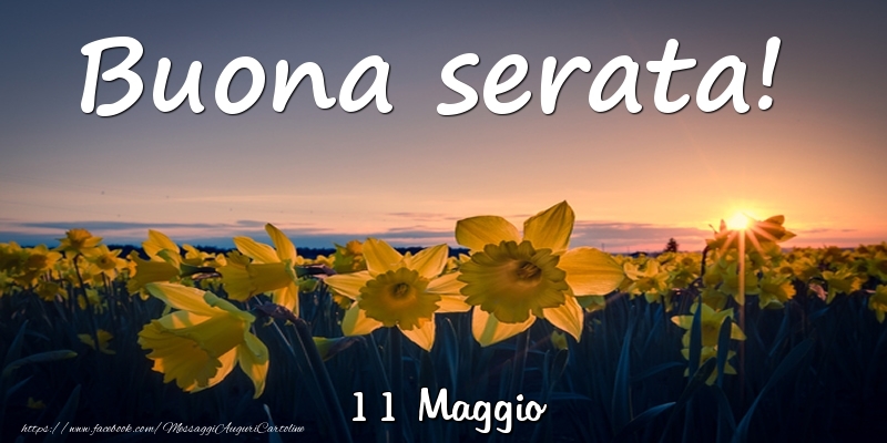 Cartoline di 11 Maggio - 11 Maggio - Buona serata!