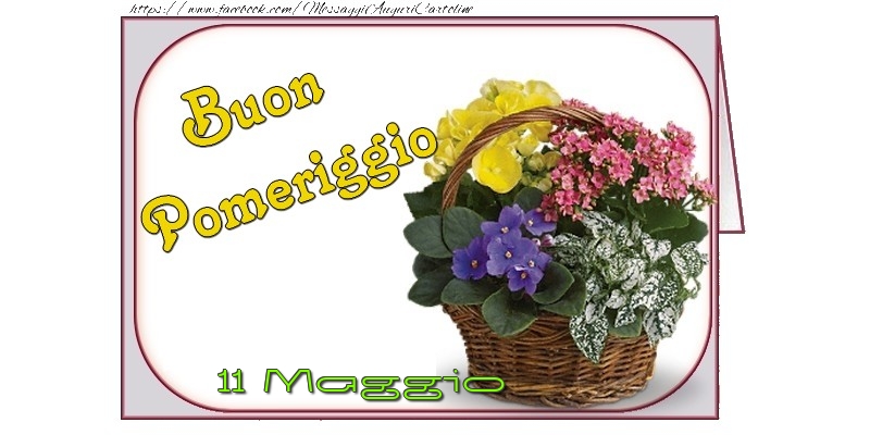 11 Maggio - Buon Pomeriggio
