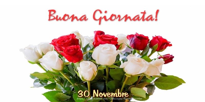 Cartoline di 30 Novembre - 30 Novembre - Buona Giornata!