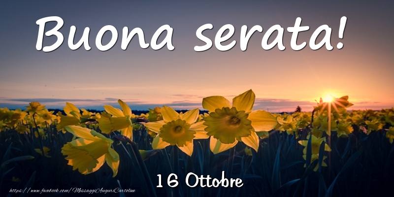 16 Ottobre - Buona serata!