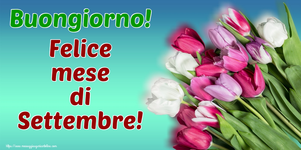 Cartoline di 1 Settembre - Buongiorno! Felice mese di Settembre!