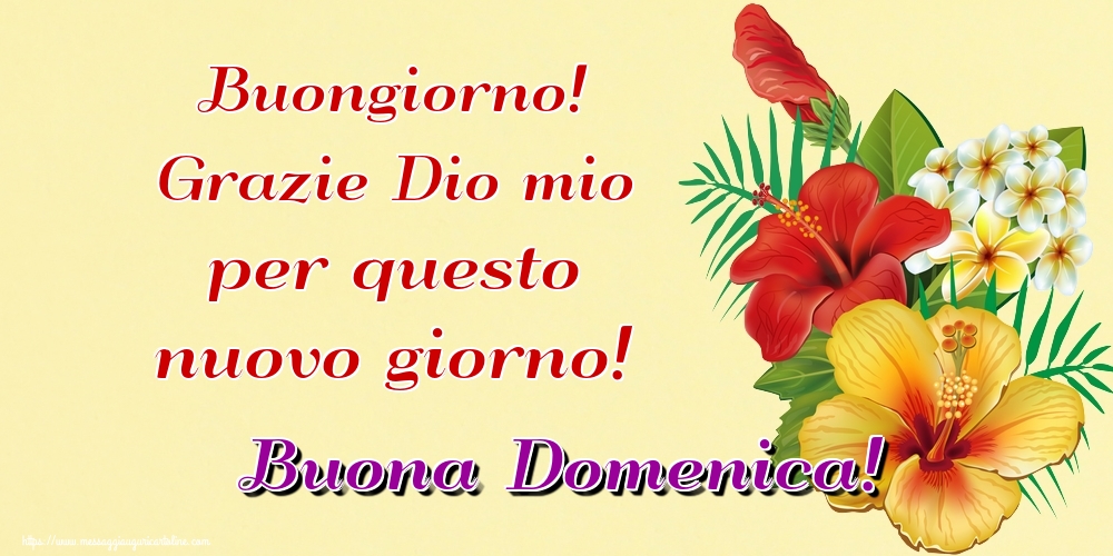 Buongiorno! Grazie Dio mio per questo nuovo giorno! Buona Domenica!