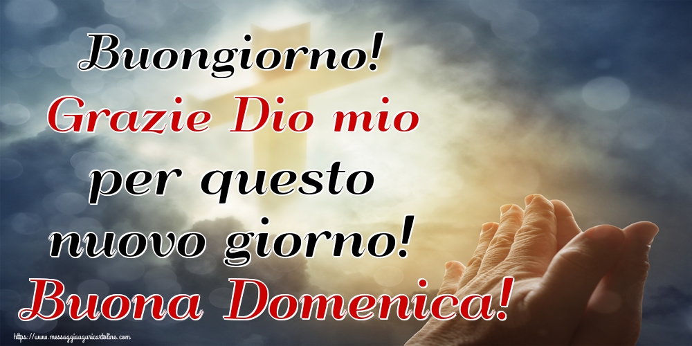 Buongiorno! Grazie Dio mio per questo nuovo giorno! Buona Domenica!