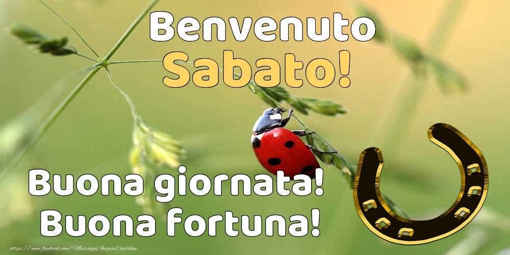 Benvenuto sabato! Buona giornata! Buona fortuna!