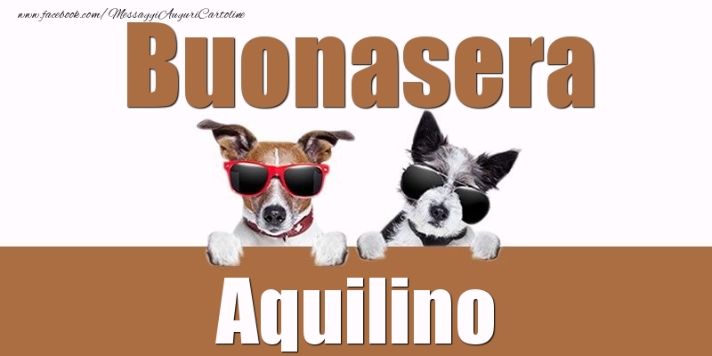 Cartoline di buonasera - Buonasera Aquilino