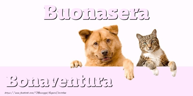 Cartoline di buonasera - Buonasera Bonaventura
