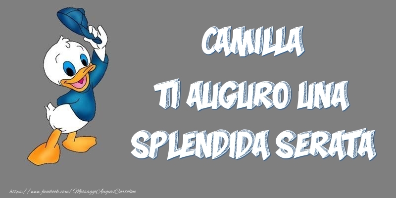Cartoline di buonasera - Camilla ti auguro una splendida serata