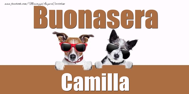 Cartoline di buonasera - Buonasera Camilla