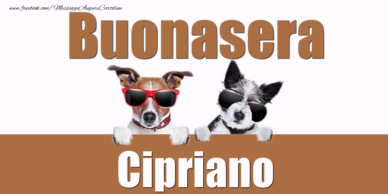 Cartoline di buonasera - Buonasera Cipriano