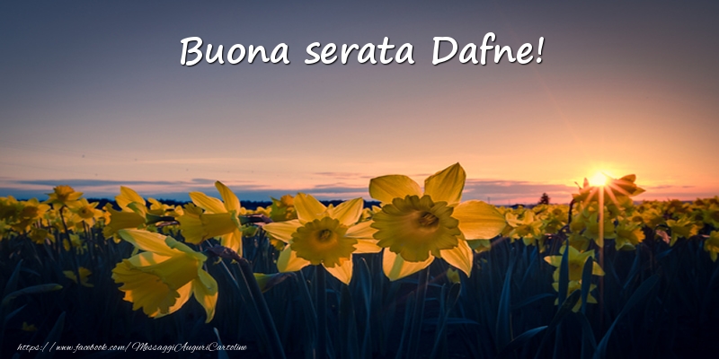 Cartoline di buonasera - Fiori: Buona serata Dafne!