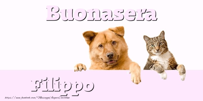 Cartoline di buonasera - Buonasera Filippo