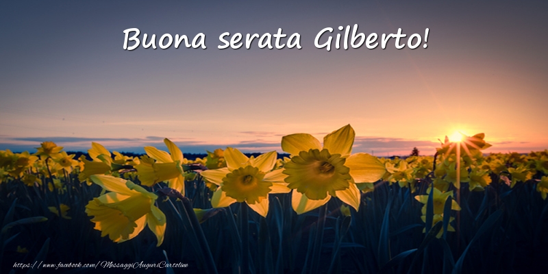 Cartoline di buonasera -  Fiori: Buona serata Gilberto!