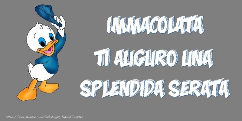 Cartoline di buonasera - Immacolata ti auguro una splendida serata
