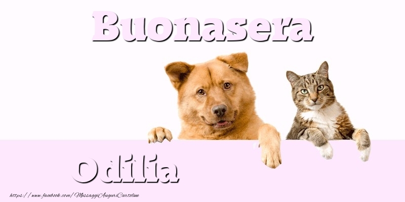 Cartoline di buonasera - Buonasera Odilia
