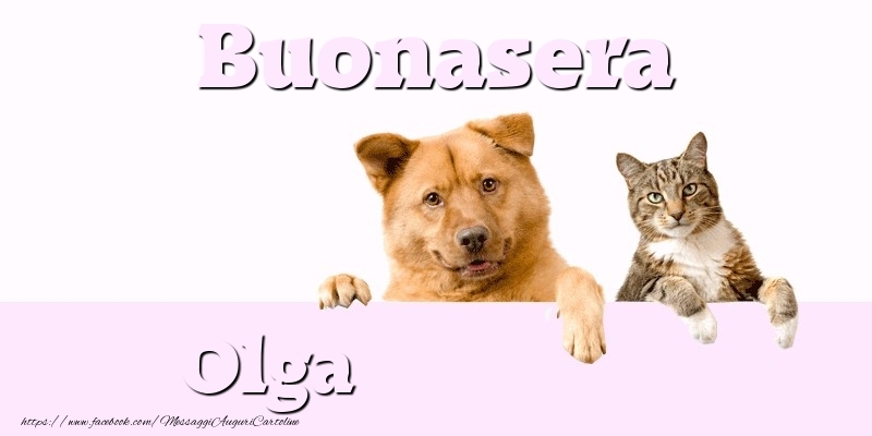 Cartoline di buonasera - Buonasera Olga