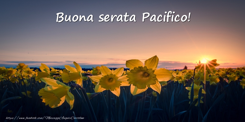 Cartoline di buonasera -  Fiori: Buona serata Pacifico!