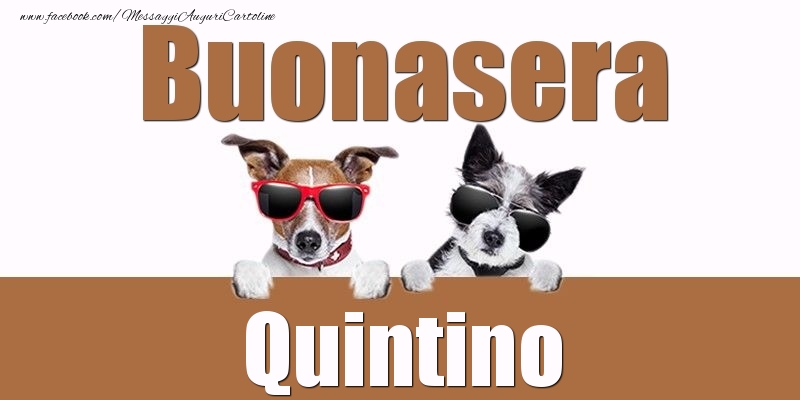 Cartoline di buonasera - Buonasera Quintino