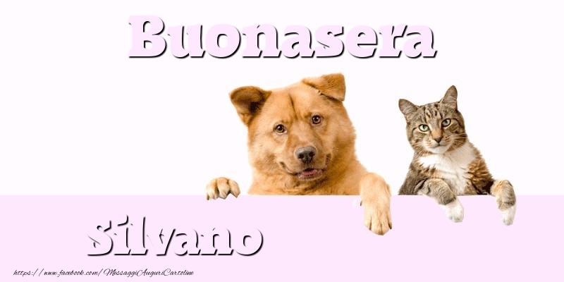 Cartoline di buonasera - Buonasera Silvano