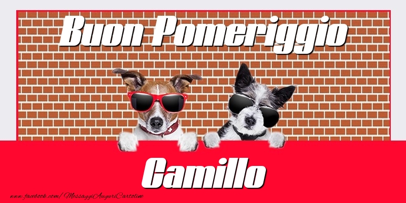 Cartoline di buon pomeriggio - Buon Pomeriggio Camillo