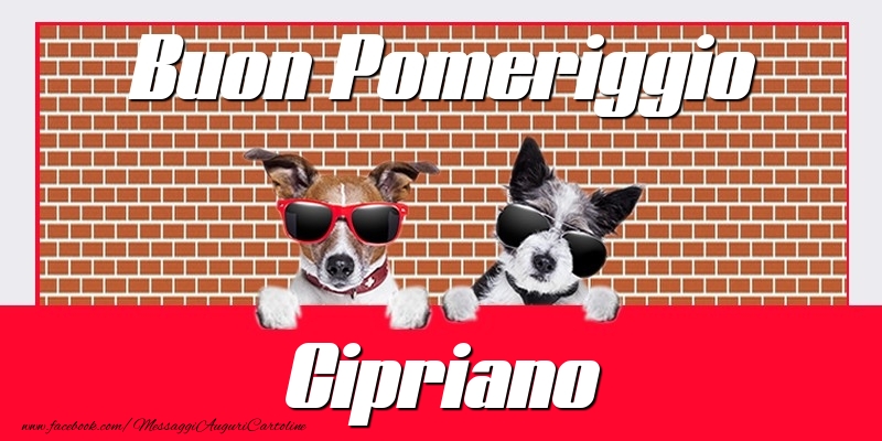 Cartoline di buon pomeriggio - Buon Pomeriggio Cipriano
