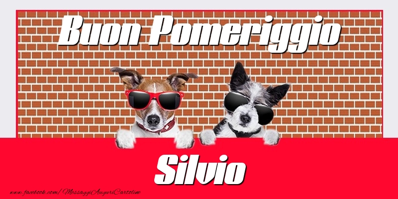 Cartoline di buon pomeriggio - Buon Pomeriggio Silvio