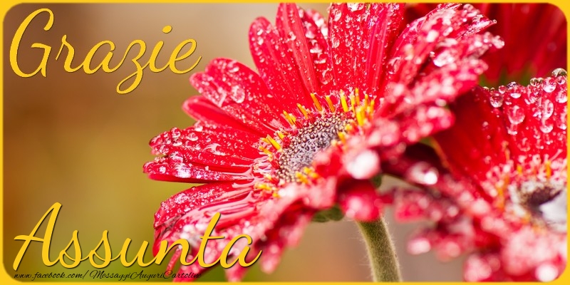 Cartoline di grazie - Grazie Assunta