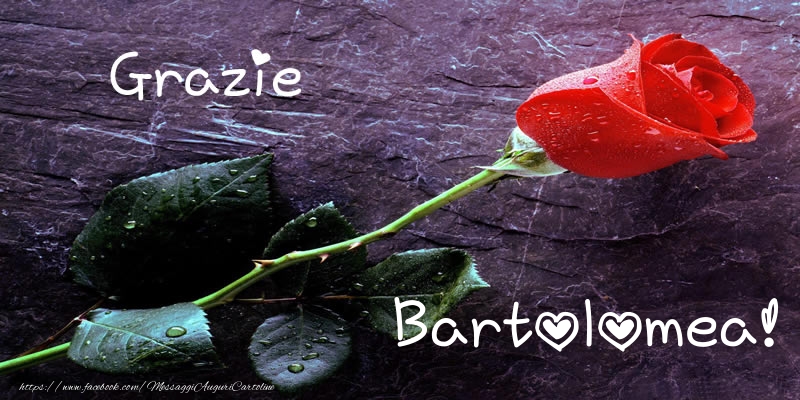 Cartoline di grazie - Grazie Bartolomea!
