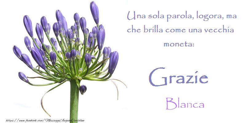 Cartoline di grazie - Grazie Blanca