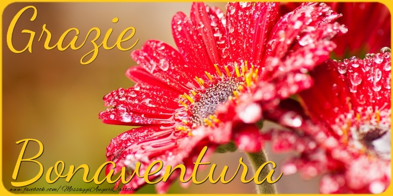 Cartoline di grazie - Grazie Bonaventura