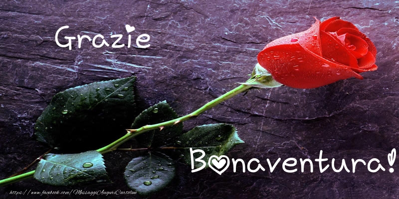 Cartoline di grazie - Grazie Bonaventura!