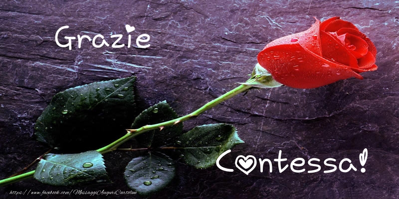 Cartoline di grazie - Grazie Contessa!
