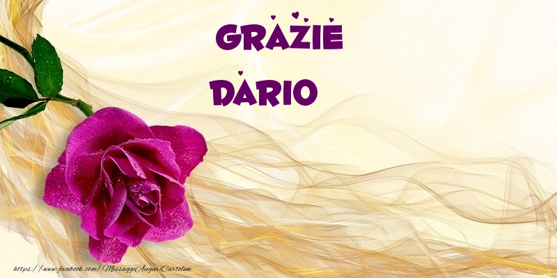 Cartoline di grazie - Grazie Dario