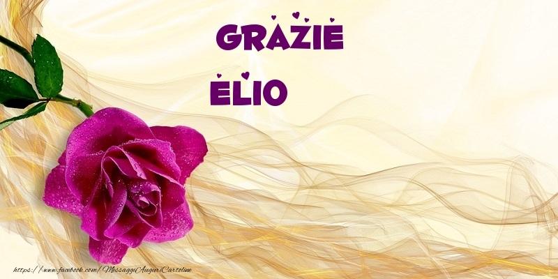 Cartoline di grazie - Grazie Elio
