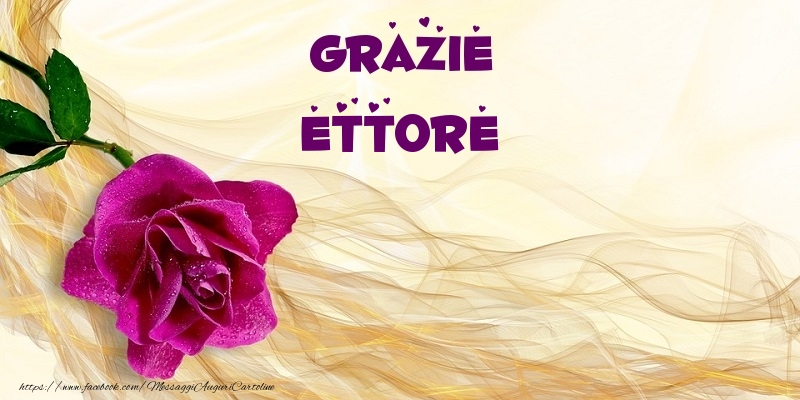 Cartoline di grazie - Grazie Ettore