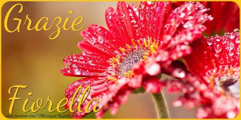Cartoline di grazie - Grazie Fiorella