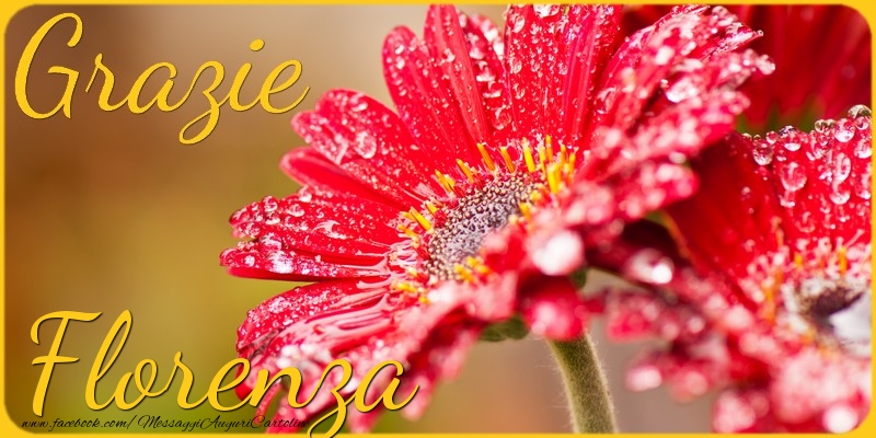 Cartoline di grazie - Fiori | Grazie Florenza