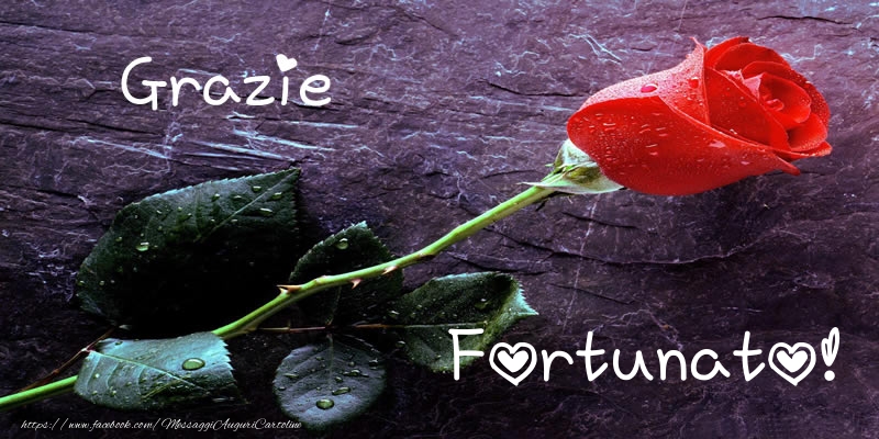 Cartoline di grazie - Grazie Fortunato!