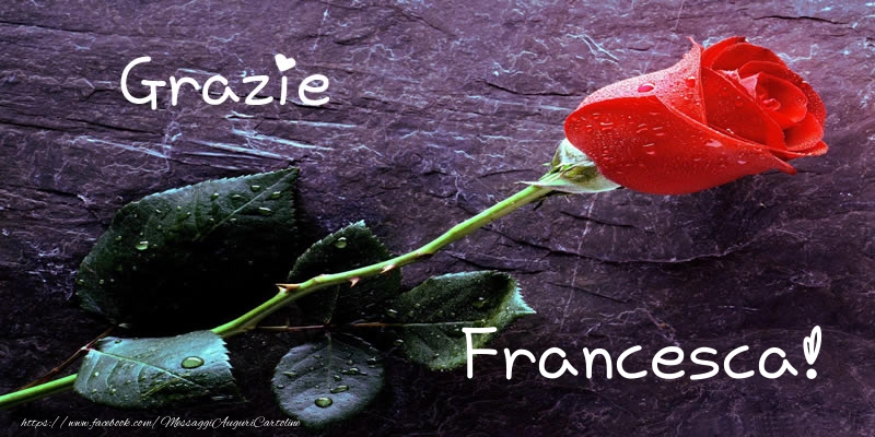 Cartoline di grazie - Rose | Grazie Francesca!