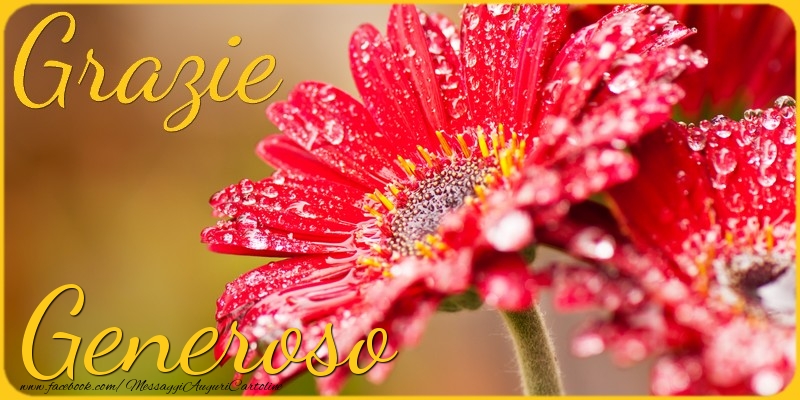 Cartoline di grazie - Grazie Generoso