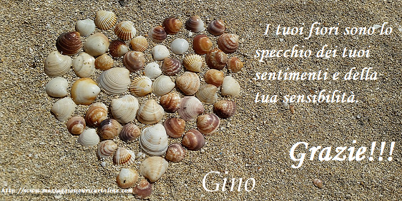 Cartoline di grazie - Grazie Gino