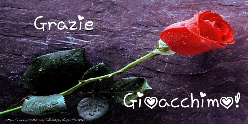 Cartoline di grazie - Grazie Gioacchimo!