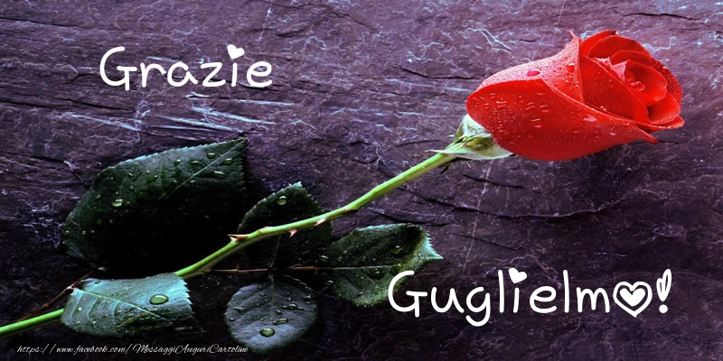 Cartoline di grazie - Grazie Guglielmo!